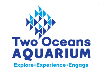 Aquarium Cape Town logo